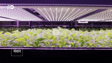 बंद कमरे में सालभर उगाएं सब्जियां