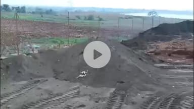 खालवा: रोशनी में 1 लाख वृक्षारोपण कार्यक्रम का आयोजन, तैयारियां पूरी