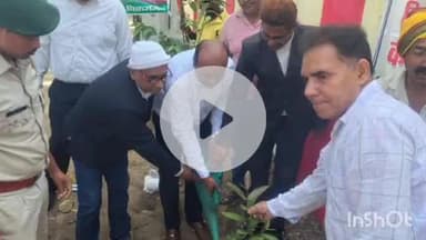 बिक्रमगंज: बिक्रमगंज व्यवहार न्यायालय परिसर में विश्व पर्यावरण दिवस पर न्यायाधीशों और अधिवक्ताओं ने किया पौधरोपण