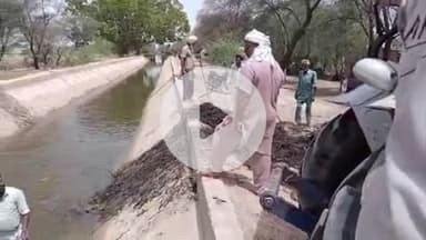 अनूपगढ़: अनूपगढ़ में तूफान के कारण अनूपगढ़ शाखा में टूटकर गिरे पेड़, किसानों को हो रही परेशानी