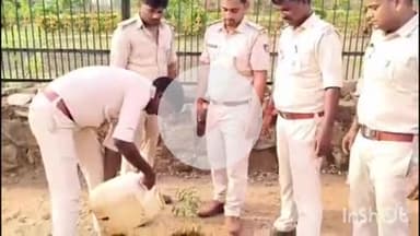 अधौरा: विश्व पर्यावरण दिवस पर अधौरा प्रखंड क्षेत्र में वन विभाग द्वारा पर्यावरण संरक्षण हेतु जागरूकता कार्यक्रम कराया गया