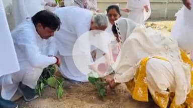 बहादुरगढ़: विश्व पर्यावरण दिवस पर नगर परिषद ने सरोज राठी नगरवाल कॉलोनी के म्युनिसिपल पार्क में किया पौधारोपण