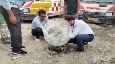 औरैया: दिबियापुर सामुदायिक स्वास्थ्य केंद्र में विश्व पर्यावरण दिवस पर अधीक्षक डॉक्टर विजय आनंद ने वृक्षारोपण किया