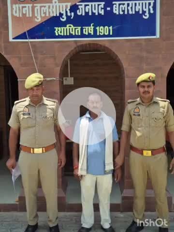 तुलसीपुर: तुलसीपुर थाना की पुलिस ने धारा 401 से संबंधित एक नफर वारंटी अभियुक्त को गिरफ्तार कर न्यायालय भेजा