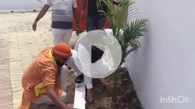 आरा: विश्व पर्यावरण दिवस के अवसर पर भाजपा नेता ने बीजेपी कार्यालय में लगाए फलदार वृक्ष