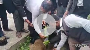 बखरी: विश्व पर्यावरण दिवस पर बखरी व्यवहार न्यायालय परिसर में हुआ पौधारोपण कार्यक्रम