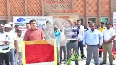 राजगीर: विश्व पर्यावरण दिवस पर राजगीर स्थित बिहार खेल विश्वविद्यालय में वृक्षारोपण कार्यक्रम आयोजित