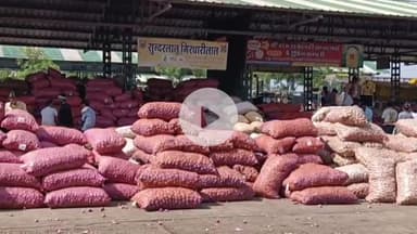 शाजापुर: शाजापुर कृषि उपज मंडी में 14399 क्विंटल प्याज की आवक, ₹1050 प्रति क्विंटल बिकी