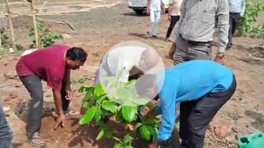 रायसेन: साँची बौद्ध-भारतीय ज्ञान अध्ययन विश्वविद्यालय में विश्व पर्यावरण दिवस पर पौधारोपण किया गया