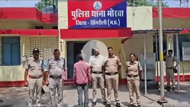 सिंगरौली: मोरवा पुलिस ने मेढ़ौली से 28 किलो गांजे के 80 पौधे जब्त किए, एक आरोपी गिरफ्तार