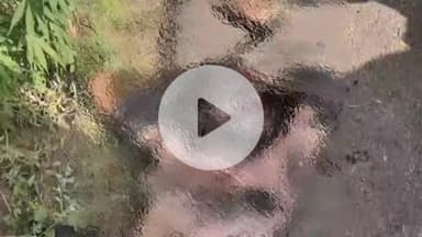 बहादुरगढ़: गांव कानौंदा के पास नाले में मिला व्यक्ति का शव, सिर और चेहरे पर चोट के निशान