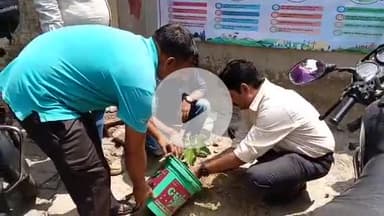 सीतापुर: हरगांव ब्लाक के अधिकारी ने पर्यावरण को लेकर ब्लॉक के प्रांगण में किया वृक्षारोपण