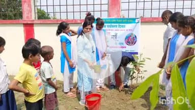 पतरघट: पतरघट प्रखंड में विश्व पर्यावरण दिवस पर मनरेगा द्वारा वृक्षारोपण कार्यक्रम आयोजित