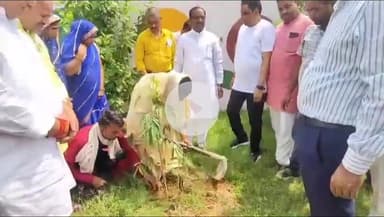 सिंगरौली: वूमन फॉर ट्री अभियान के तहत निगम की अमृत मित्र ने मनाया विश्व पर्यावरण दिवस