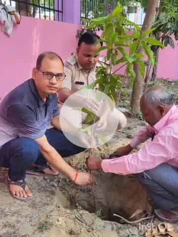 छौड़ाही: प्रखंड क्षेत्र के विभिन्न पंचायतों में विश्व पर्यावरण दिवस पर किया गया वृक्षारोपण