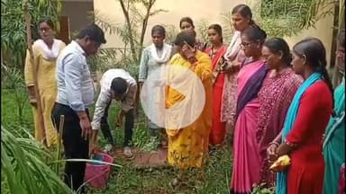 आदित्यपुर गम्हरिया: गम्हरिया प्रखंड सह अंचल कार्यालय में अंचल अधिकारी और सीडीपीओ की अध्यक्षता में हुआ पौधारोपण