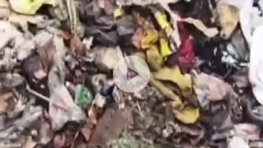 हुज़ूर: राजधानी भोपाल के जोन 9 में कचरों का अंबार, लोग हो रहे परेशान #jansamasya