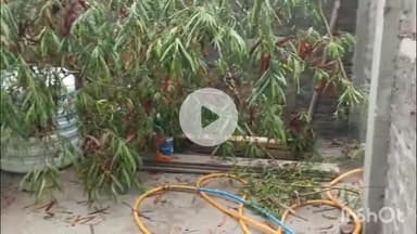 धार: धार जिले के ग्राम आहू में आंधी-तूफान से तबाही, कई घर उजड़े, लोग बेघर हुए