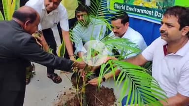 कहलगांव: कहलगांव में विश्व पर्यावरण दिवस पर व्यवहार न्यायालय समेत कई जगहों पर हुआ वृक्षारोपण