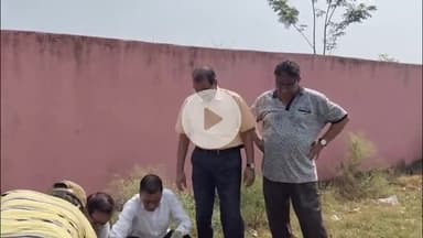 आरा: विश्व पर्यावरण दिवस के मौके पर वृक्षारोपण का कार्यक्रम