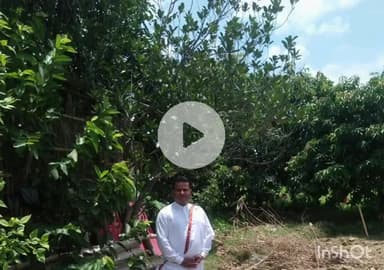 रांची ब्रह्माकुमारी संस्थान के सदस्य सह राजयोग शिक्षक बीके देव भाई ने दिया पर्यावरण संरक्षण का संदेश