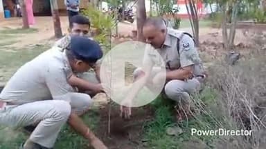 कटोरिया: विश्व पर्यावरण दिवस पर कटोरिया थाना परिसर में बेलहर एसडीपीओ व थानाध्यक्ष ने किया पौधारोपण