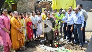 सीतामऊ: जिले भर में पर्यावरण दिवस पर 'एक पौधा मां के नाम' कार्यक्रम, कलेक्टर, एसडीएम व अन्य अधिकारी शामिल