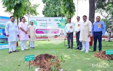 सिंगरौली: एनसीएल में विश्व पर्यावरण दिवस 2025 पर कई कार्यक्रमों का आयोजन