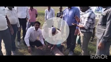 मीरगंज: विश्व पर्यावरण दिवस पर चीनी शुगर मिल परिसर में किया गया वृक्षारोपण