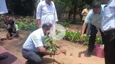 खलारी: एनके एरिया में विश्व पर्यावरण दिवस मनाया गया