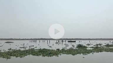 बिल्हौर: कल्लपुरबा मे  गंगा नदी में नहाने के दौरान डूबी बच्ची को बचाने के लिए गए दो लोग भी डूबे, तीनों की हुई मौत