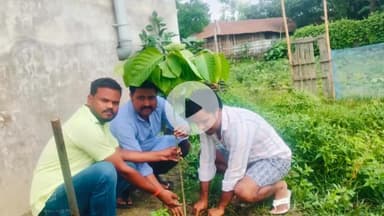 कुरसाकांटा: विश्व पर्यावरण दिवस पर कुर्साकाटा प्रखंड के पंचायतों में वृक्षारोपण हुआ, पर्यावरण संरक्षण का लिया गया संकल्प