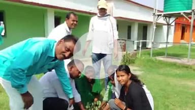 पांकी: डॉ. वीरेंद्र कृष्णा रामबली उच्च विद्यालय कोन वाई में विश्व पर्यावरण दिवस मनाया गया