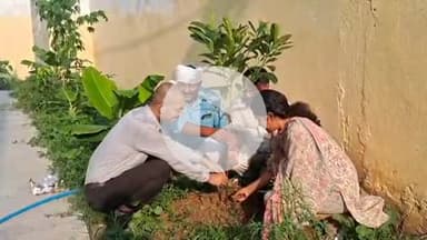 रहुई: विश्व पर्यावरण दिवस पर रहुई नगर पंचायत में हुआ पौधारोपण, हरियाली का दिया संदेश