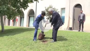 Italy embraces #EkPedMaaKeNaam!

A big thank you to H.E. Antonio Tajani for joining this cause on #WorldEnvironmentDay
