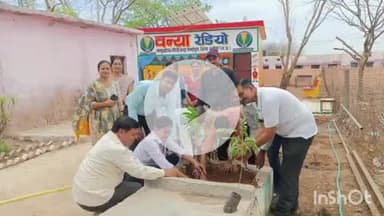 कराहल: विश्व पर्यावरण दिवस पर वृक्षारोपण कार्यक्रम आयोजित, छायादार व औषधीय पौधों का रोपण किया गया