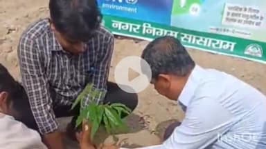 सासाराम: विश्व पर्यावरण दिवस के अवसर पर सासाराम के नगर आयुक्त ने किया वृक्षारोपण
