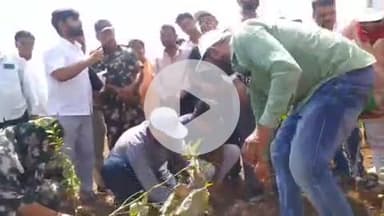 खालवा: रोशनी में विश्व पर्यावरण दिवस पर खंडवा कलेक्टर ने किया पौधारोपण