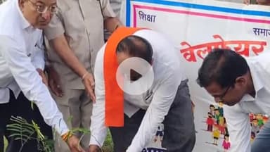 चांद: चांद नगर में विश्व पर्यावरण दिवस पर पौधारोपण कार्यक्रम का आयोजन किया गया