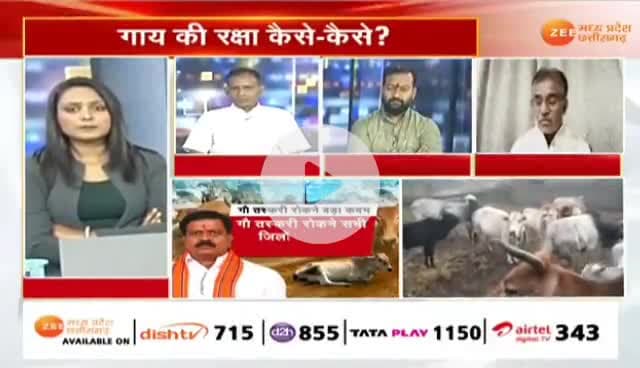 #गाय की रक्षा कैसे कैसे?
#गौ_तस्करी रोकने कड़ा कदम 

Zee News - 1

#गौसेवा #गौसंरक्षण #ChhattisgarhNews #छत्तीसगढ़िया #chha
