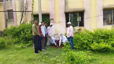 कलियासोल: विश्व पर्यावरण दिवस पर कलिया सोल प्रखंड में प्रखंड विकास पदाधिकारी ने किया पौधारोपण
