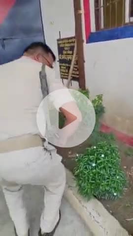 उदवंत नगर: विश्व पर्यावरण दिवस पर गजराजगंज थाने में पुलिस अधिकारियों ने किया पौधा रोपण