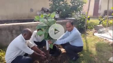 नौगावां सादात: अलीनगर मोहल्ले में भाजपा के राष्ट्रीय महासंपर्क विभाग के जिला संयोजक ने विश्व पर्यावरण दिवस पर लगाया पौधा