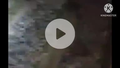 बक्सर: नदांव हाल्ट के पास, वरुणा और बक्सर स्टेशन के बीच ट्रेन से कटे 35 भेड़, जांच में जुटी आरपीएफ