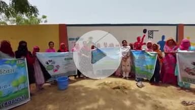 अनूपगढ़: विश्व पर्यावरण दिवस पर नगर पालिका ने डॉक्टर एपीजे अब्दुल कलाम स्टेडियम सहित अन्य स्थानों पर 100 से अधिक पौधे लगाए