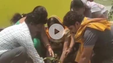 बागबाहरा: विश्व पर्यावरण दिवस के अवसर पर आवराडाबरी में पंचायत प्रतिनिधियों ने छायादार और फलदार वृक्ष का किया रोपण