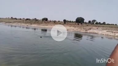 उरई: कोटरा थाना क्षेत्र के सलाघाट पर दोस्तों के साथ नहाने गए युवक की डूबकर हुई मौत, परिजनों ने लगाया हत्या का आरोप