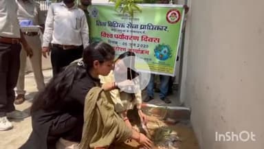 भभुआ: व्यवहार न्यायालय परिसर में विश्व पर्यावरण दिवस पर वृक्षारोपण कार्यक्रम आयोजित किया गया