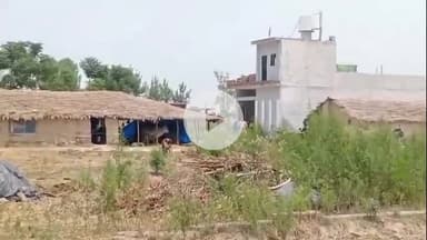 ਨਵਾਂਸ਼ਹਿਰ: ਡੀ ਏ ਵੀ ਸਕੂਲ ਮੂਸਾਪੁਰ ਰੋਡ ਦੇ ਪਿਛੇ ਦਾ ਹੈ ਕਿ ਗੁੱਜਰਾਂ ਦੀਆਂ  ਤਿੰਨ  ਮੱਝਾਂ  ਕਰੰਟ ਲੱਗਣ ਨਾਲ ਮਰ ਗਈਆ