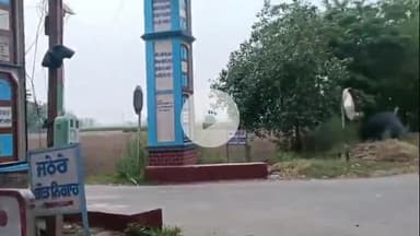 ਨਵਾਂਸ਼ਹਿਰ: ਹੰਸਰੋਂ ਧਰਮਕੋਟ ਰੋਡ 'ਤੇ ਬੀਤੀ ਰਾਤ ਇੱਕ ਵਿਅਕਤੀ ਦੀ ਭੇਦ ਭਰੇ ਹਾਲਾਤਾਂ ਵਿੱਚ ਲਾਸ਼ ਮਿਲੀ, ਪੁਲਿਸ ਕਰ ਰਹੀ ਜਾਂਚ